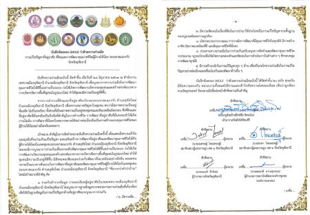 244305006 328231105759218 3223184168650797840 N