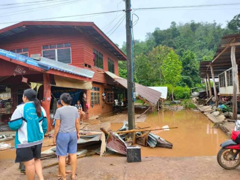 247590806 4212752652169535 8473920074003512272 N