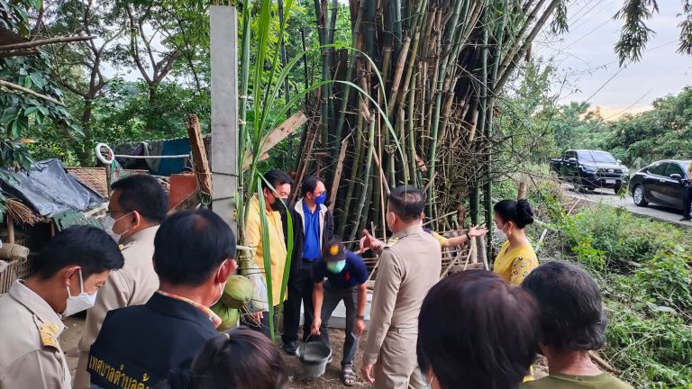 257883932 355909086324753 480062397247778901 N