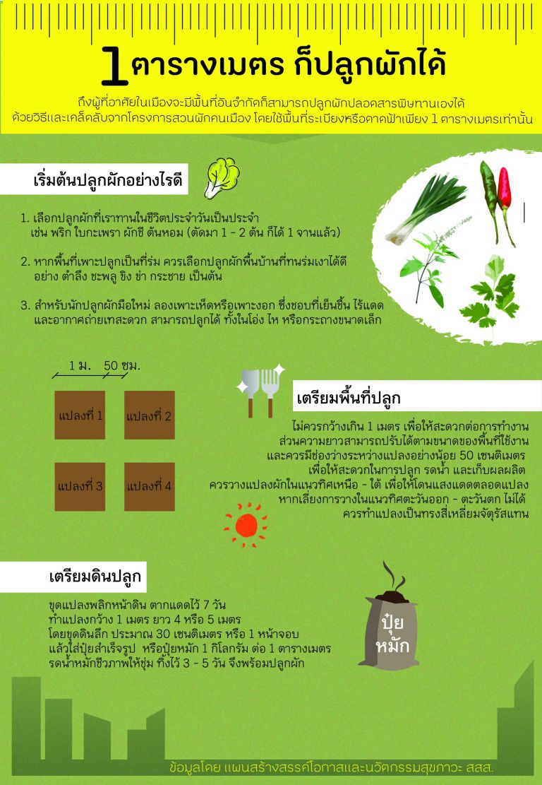 1_ตารางเมตรก็ปลูกผักได้