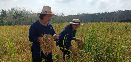 272114706 4850451545015166 6841012576287445806 N