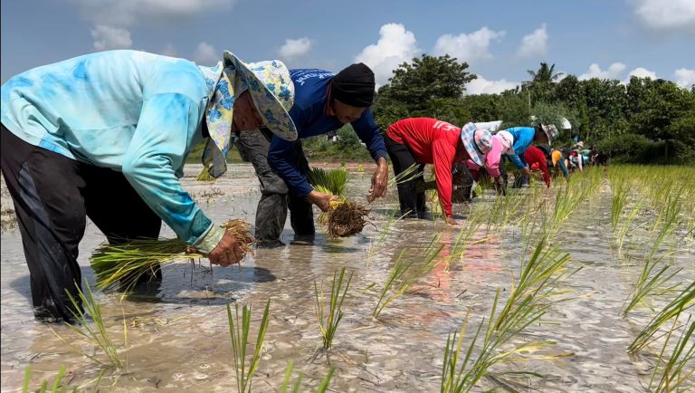 292730567 508748597717381 2517272811556917138 N