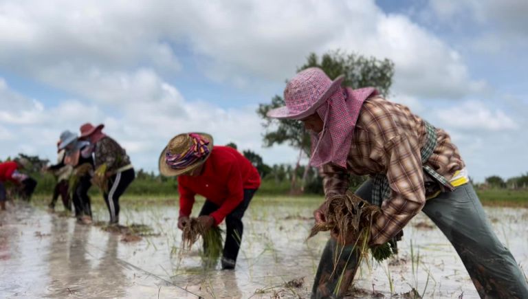 293211010 512507487341492 2083960352108323318 N