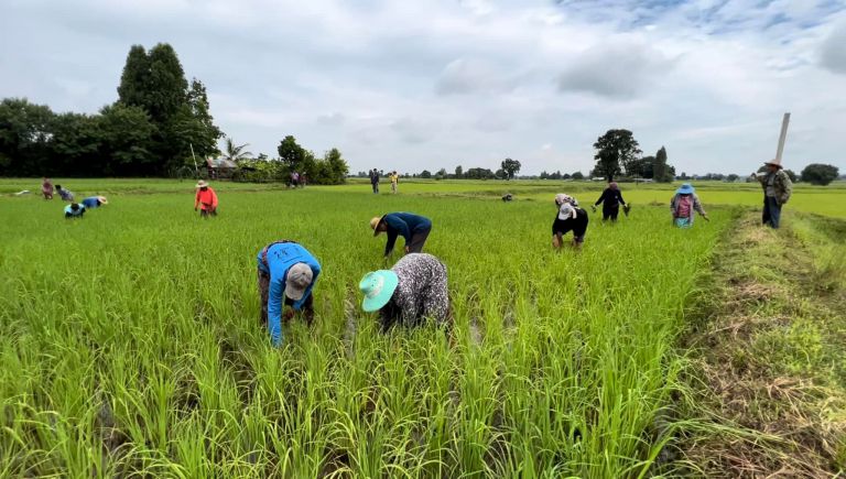 298765094 533690451889862 8992297294305166138 N