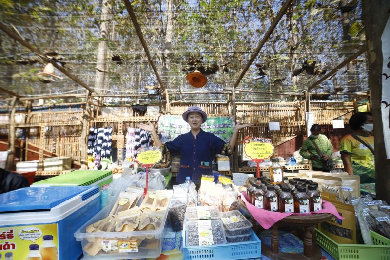 321877293 1540312143112279 570834265932976830 N