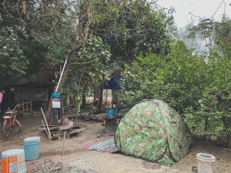 324024022 2987328808229196 5276849857032770035 N