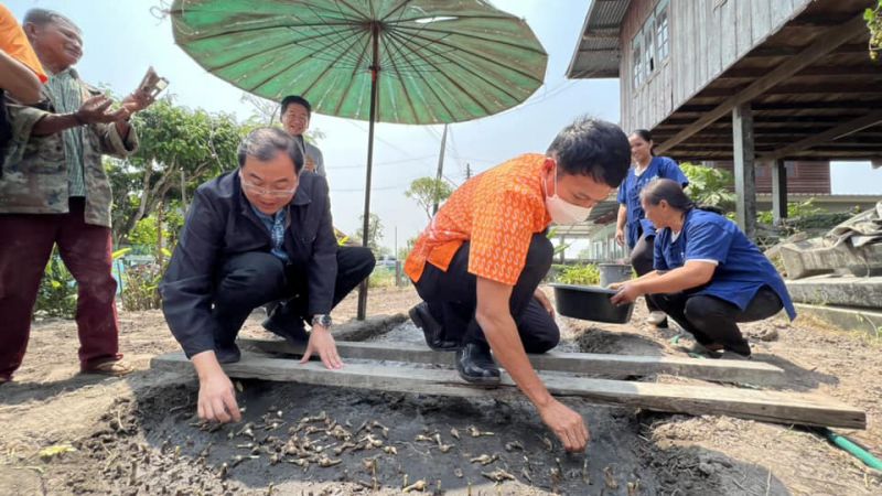 336290328 960776668417877 3043733646839324675 N