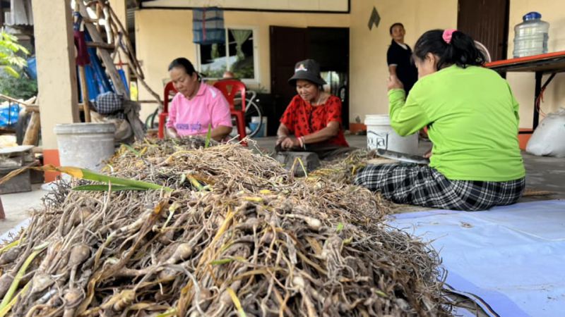 336483216 1576237426219865 5790437757839596998 N