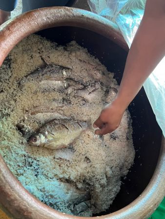 367733361 305990138609286 6304031310637140180 N