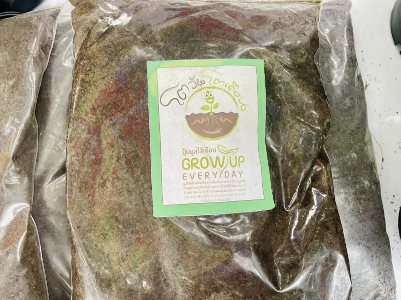 391696400 689137210057177 4324317581489520383 N