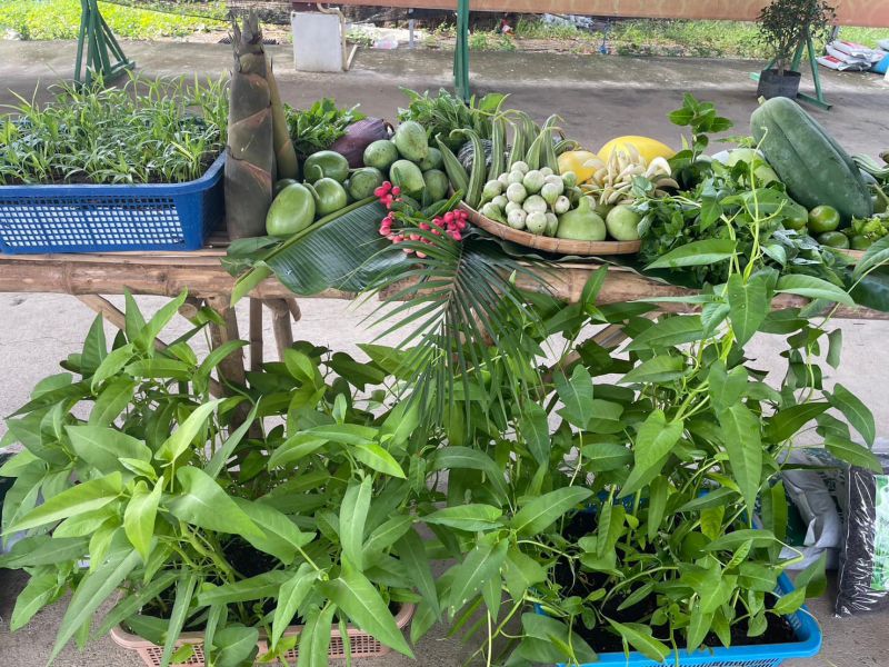 392889959 689569993347232 5005177482216546540 N