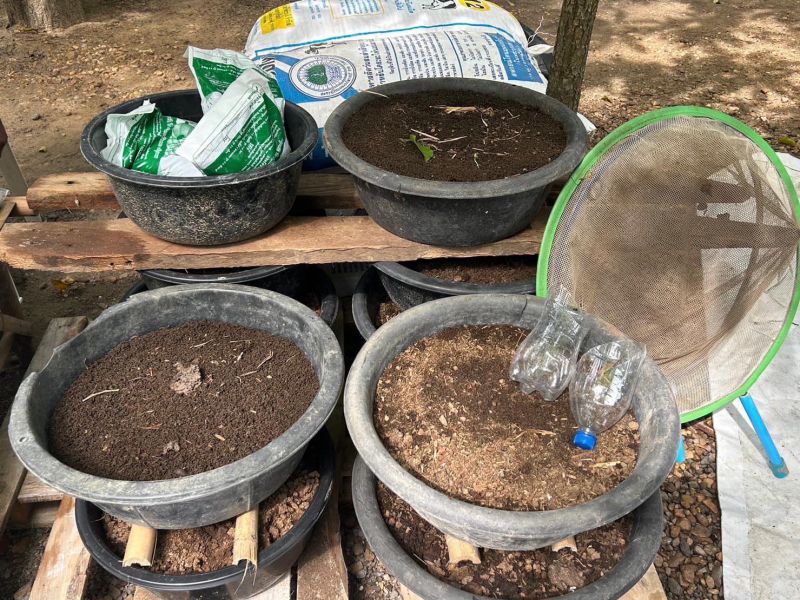 392946081 689137276723837 591459898317410381 N