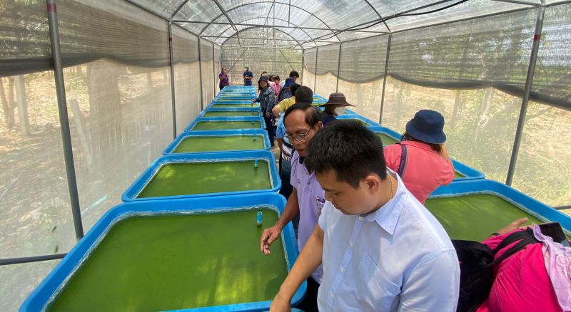 Bcef624e 7c0a 474c 987e 14f2cc18a8ae