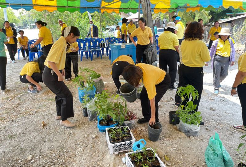 Ed6944bf 3d04 44b6 9e10 Ebd40e6fb92c 0