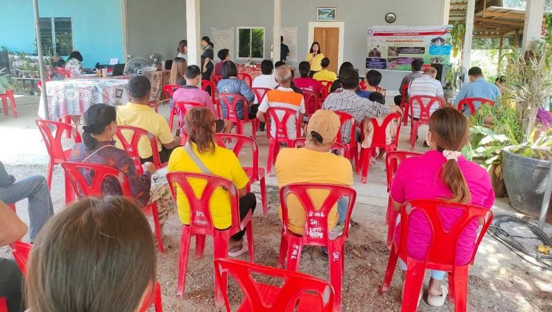 Timeline 20240429 195105 0