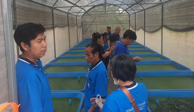 Timeline 20240510 152322