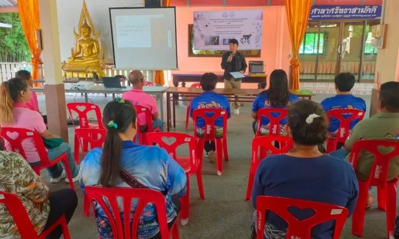 Timeline 20240528 201653 0