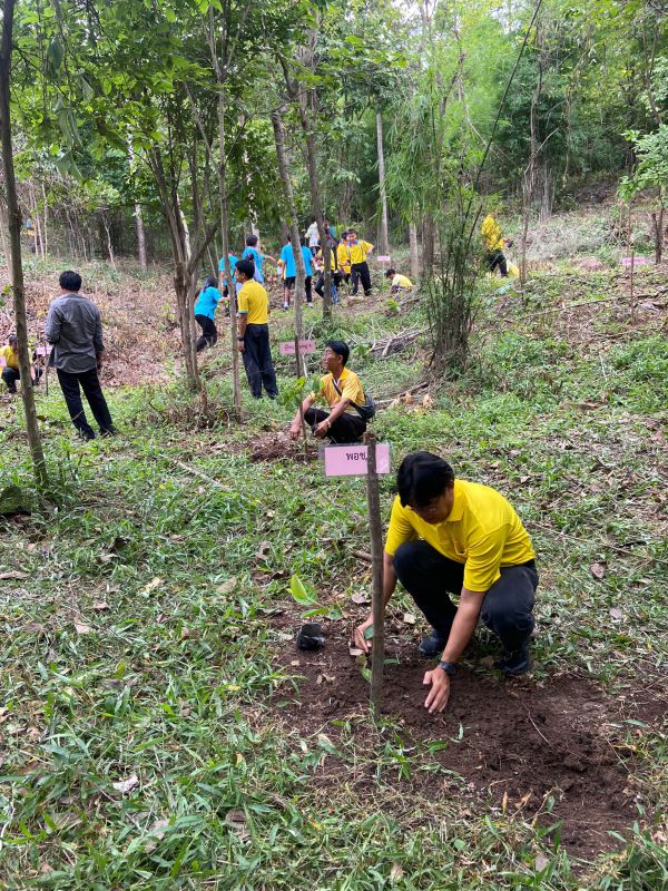 4a6feffa 86c0 4651 B15d 89878039279f 0