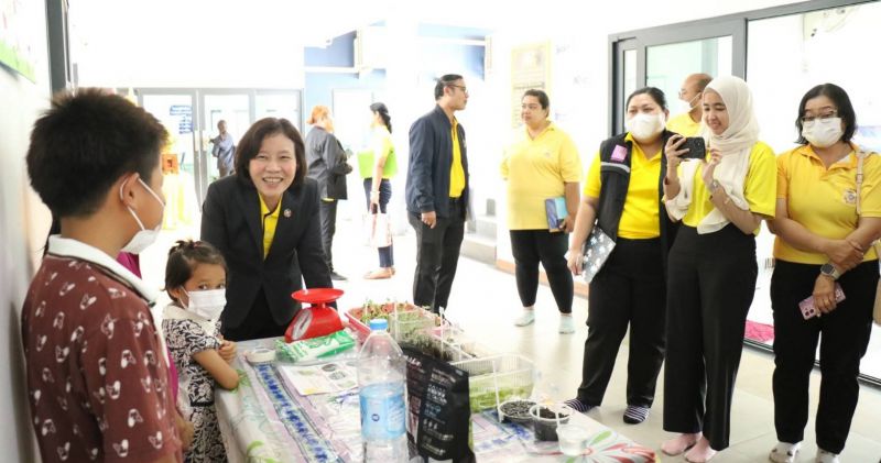 Timeline 20240711 204815 0