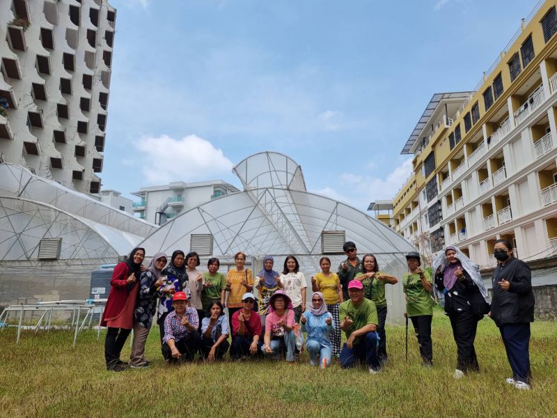 5แปลงผัก