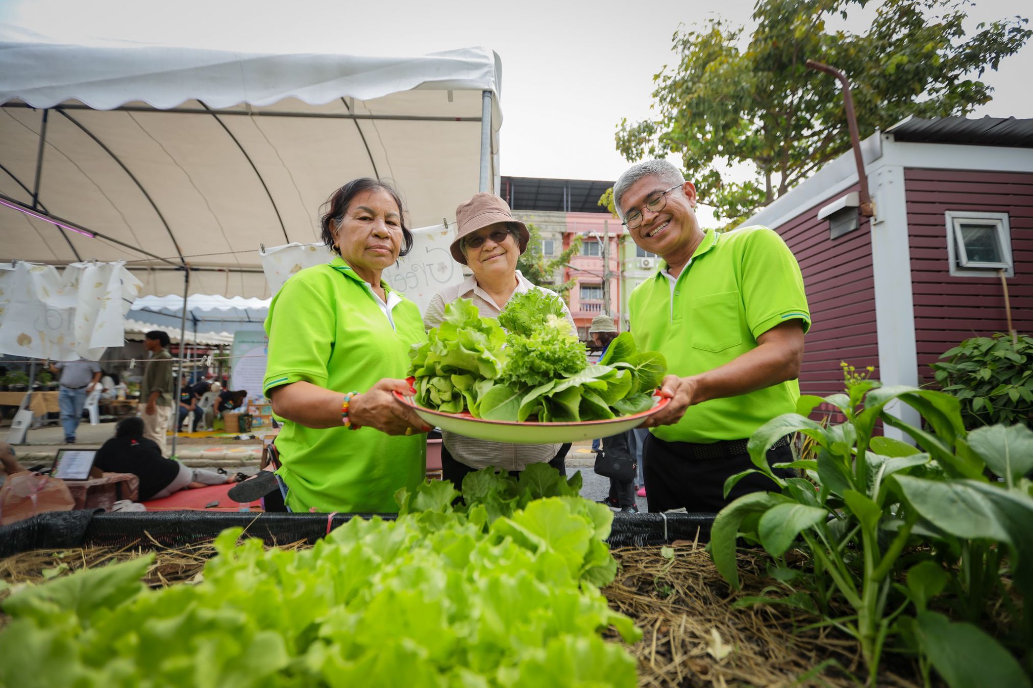 481240260 122179938152267815 2753716721693583468 N