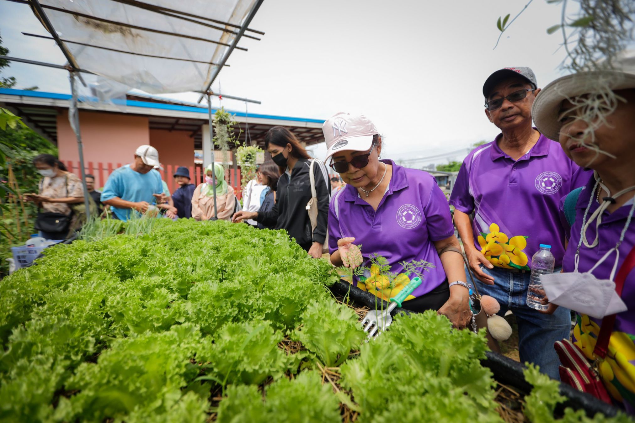 482222755 122179936346267815 1778299716485162414 N