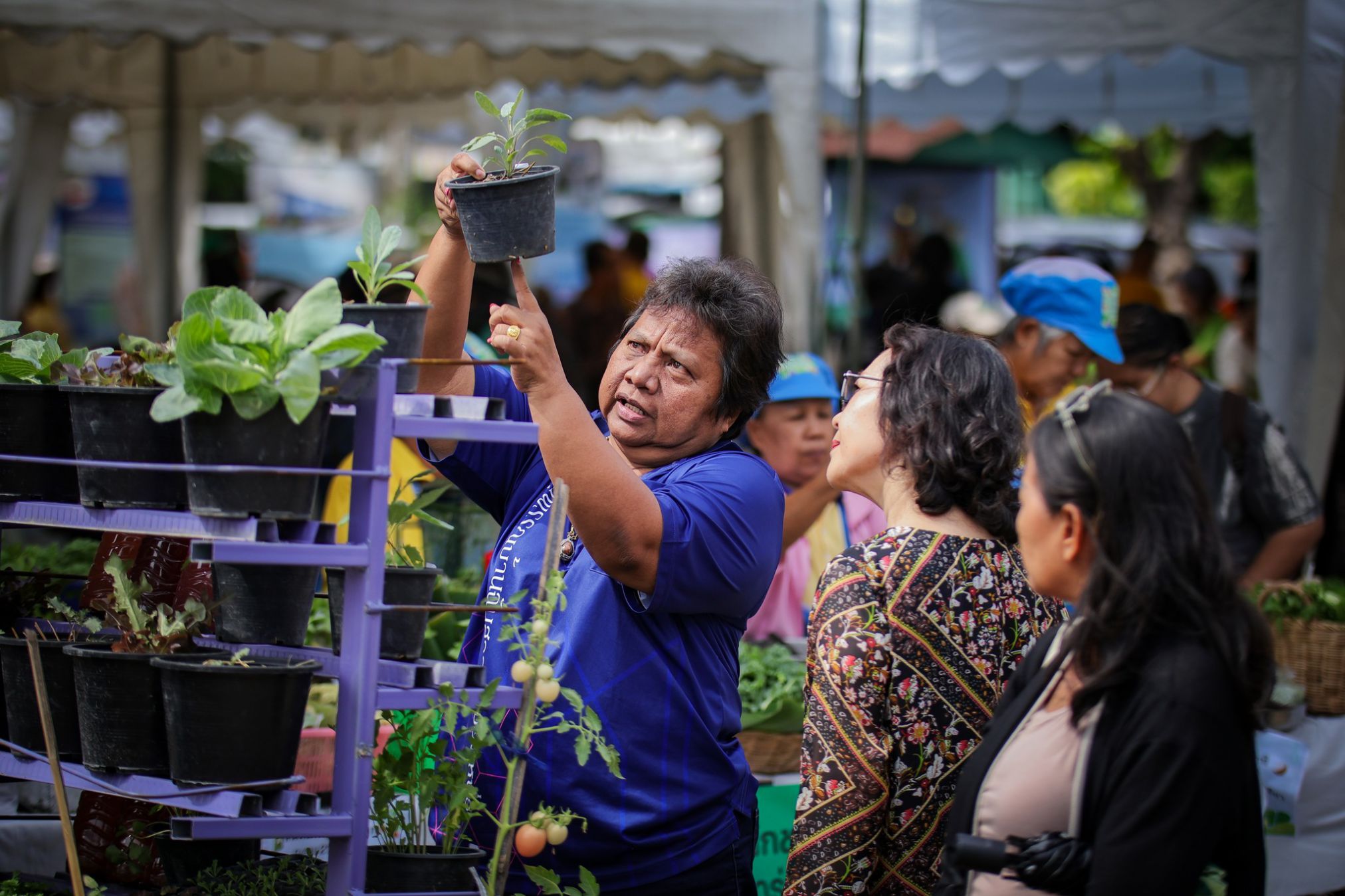 482345033 122179672982267815 6532450276404444110 N