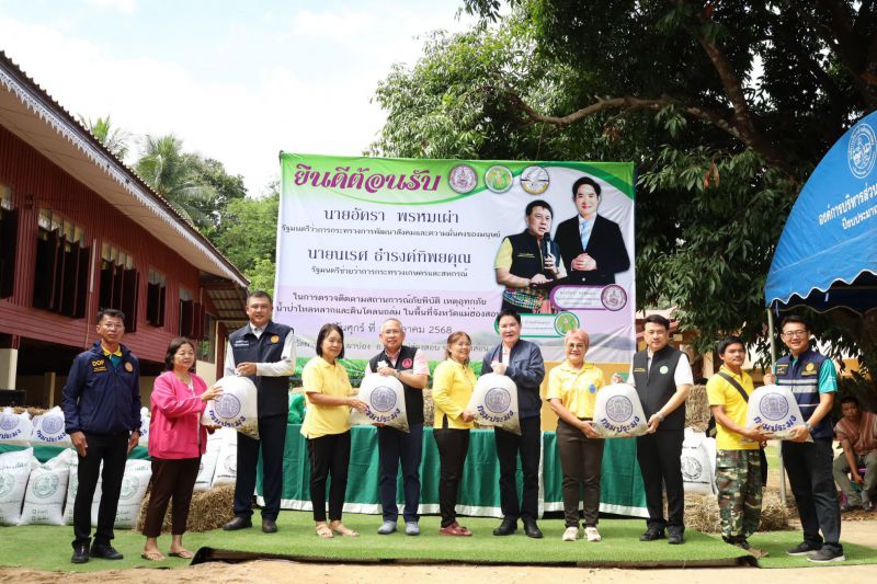 565129825 1251075957196630 2552049829031334414 N