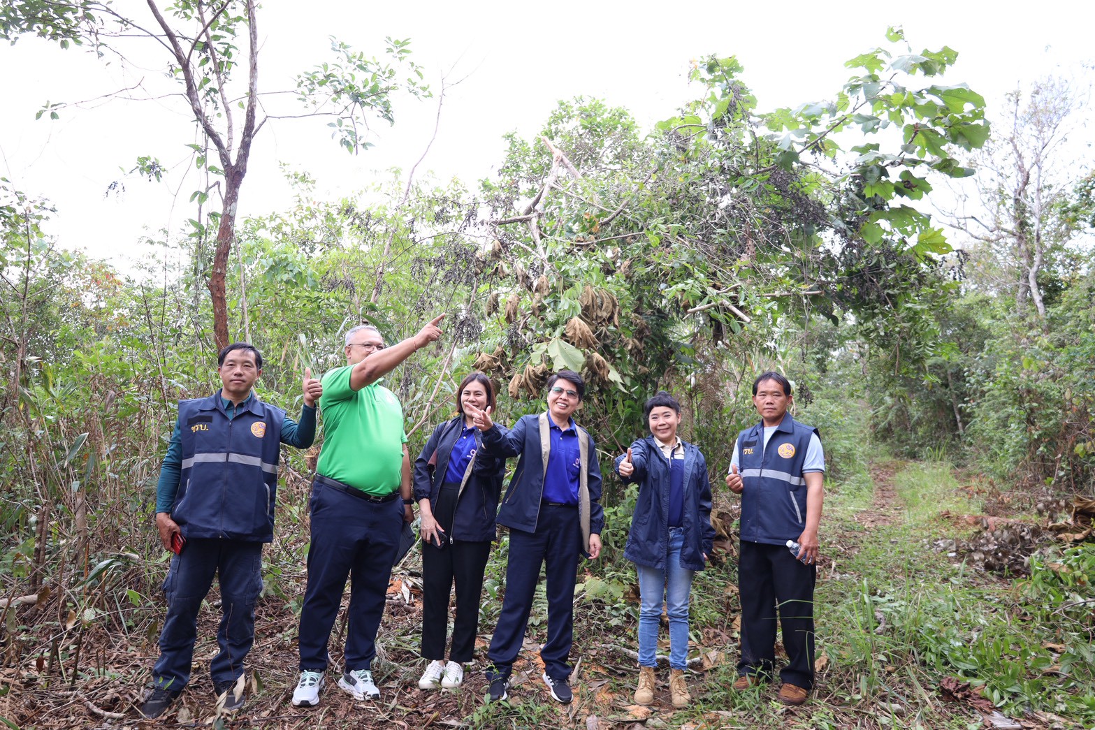 Line Album 181068 251018 52