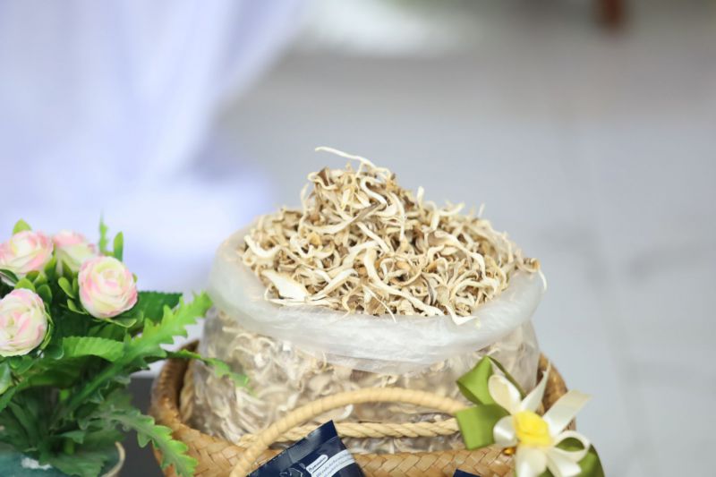 578257457 1270642935239932 4842355828744885136 N